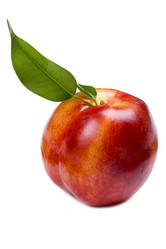 Similar image 326843