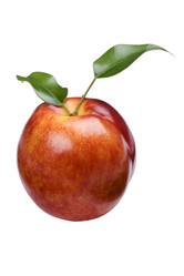 Similar image 326850