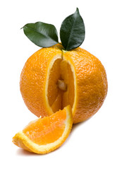 Similar image 326947