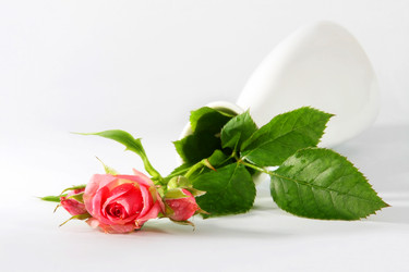 Similar image 326977