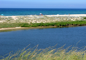 Similar image 326990