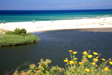 Similar image 327025