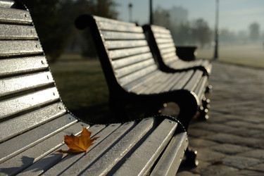 Similar image 327277