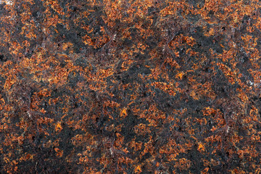 Similar image 327308