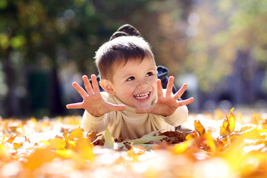 Similar image 327316