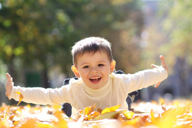 Similar image 327318