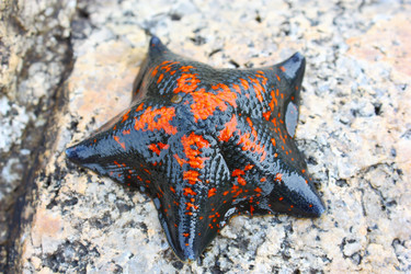 Similar image 327344