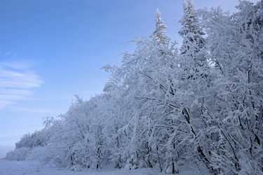 Similar image 327348