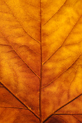 Similar image 327360