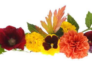 Similar image 327389