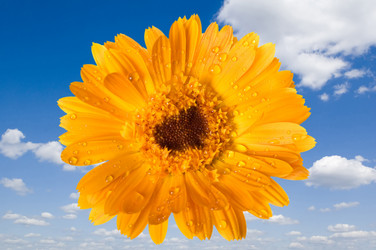 Similar image 327399