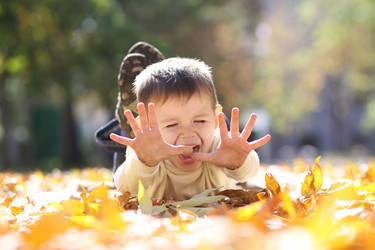 Similar image 327409