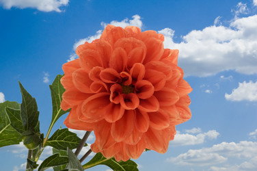 Similar image 327411