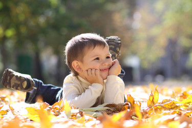 Similar image 327419