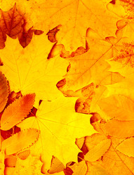 Similar image 327497