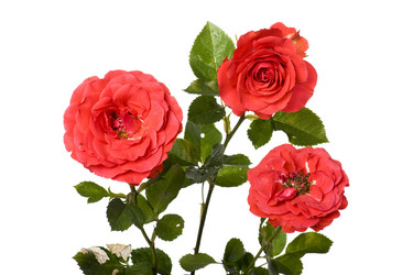 Similar image 327520