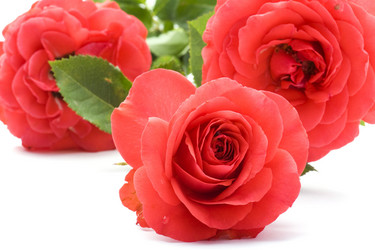 Similar image 327521