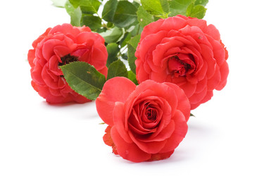 Similar image 327525