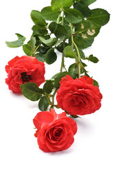 Similar image 327527