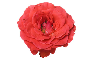 Similar image 327536