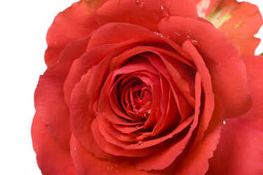 Similar image 327540