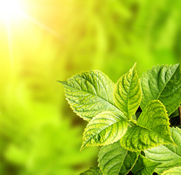 Similar image 327567