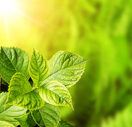 Similar image 327569