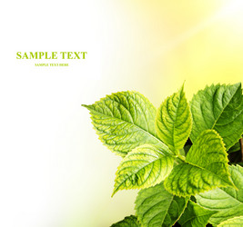 Similar image 327570