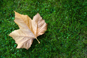 Similar image 327591