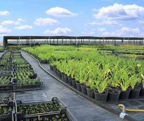 Similar image 327633