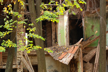 Similar image 327687