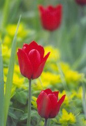 Similar image 327696