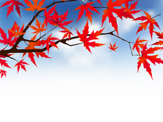 Similar image 327780