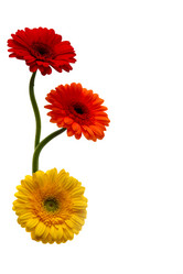 Similar image 327902