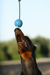 Similar image 327908