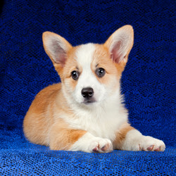 Similar image 327923