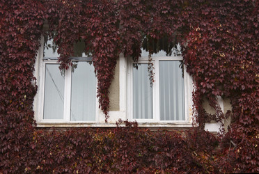 Similar image 327952