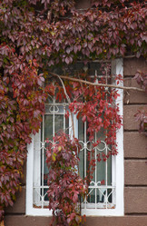 Similar image 327953