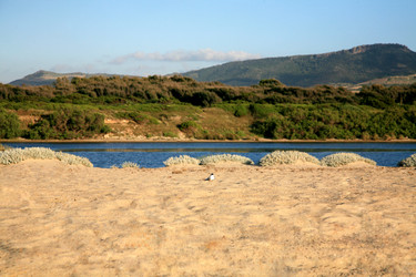 Similar image 327962