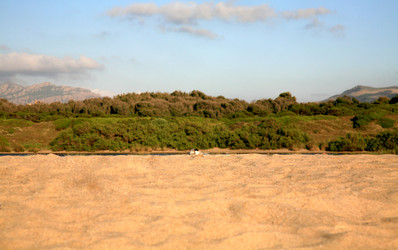 Similar image 327964