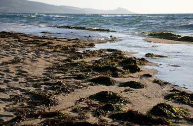 Similar image 327965