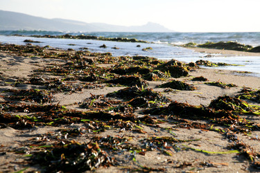 Similar image 327966