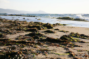 Similar image 327967