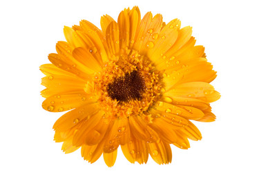 Similar image 327975