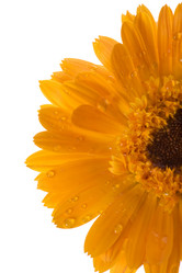 Similar image 327976