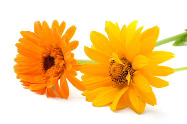 Similar image 327977