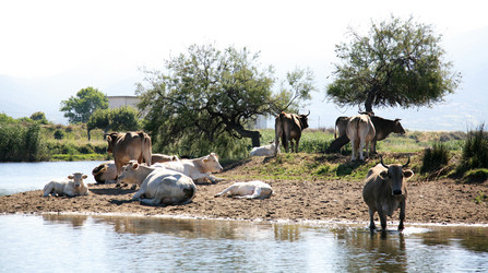 Similar image 328002