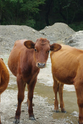 Similar image 328004