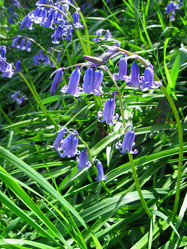 Similar image 328011