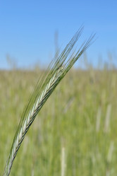 Similar image 328089